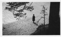 BW311
