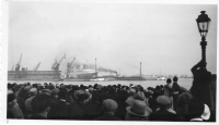 BW351