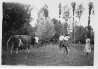 BW453