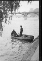 BW481