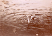 BW520