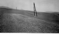 BW629