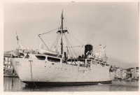 BW732