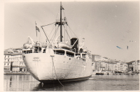 BW733
