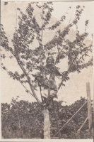 CA059