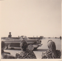 CA103