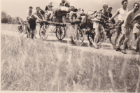 CA161