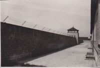 CC093