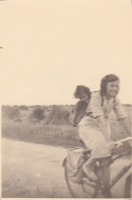 CC156
