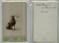 CD3013