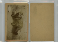 CD3055
