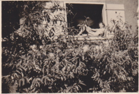 CD340