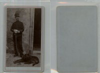 CD3441