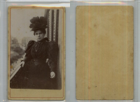 CD3446