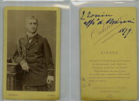 CD3517