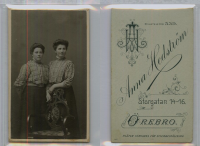 CD3633