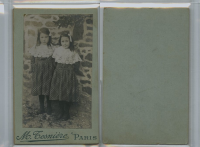CD3783