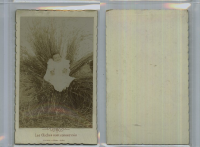 CD3974