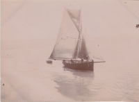 CD749