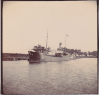 CD877