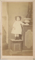 CDV1007