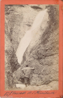 CDV1016