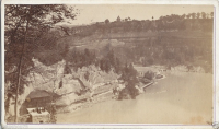 CDV1019