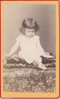 CDV1034