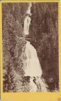 CDV1063