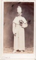 CDV1528