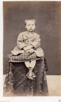CDV1558