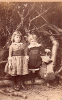 CDV1798