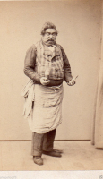 CDV2066