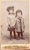 CDV2101