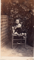 CDV2295