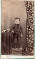 CDV2383