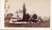 CDV2441