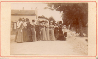 CDV2442