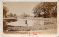 CDV2453