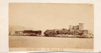 CDV2454