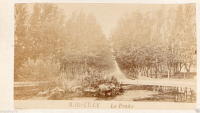 CDV2459