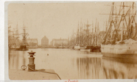 CDV2479