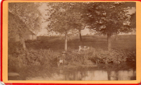 CDV2494