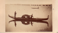 CDV2499