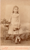 CDV2519