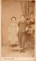 CDV2526