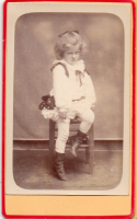CDV2530