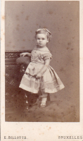 CDV2538