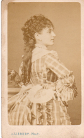 CDV6004