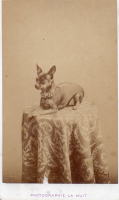CDV6016
